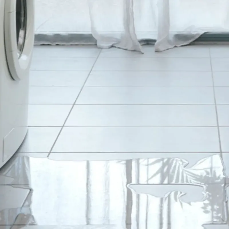 Appliance Leak Cleanup in Fife, WA