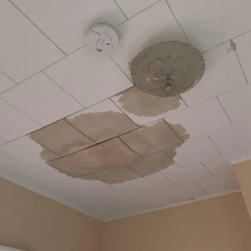 Ceiling Water Damage Repair in Fife, WA