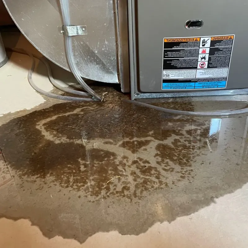 Pipe Burst and Leak Restoration in Fife, WA