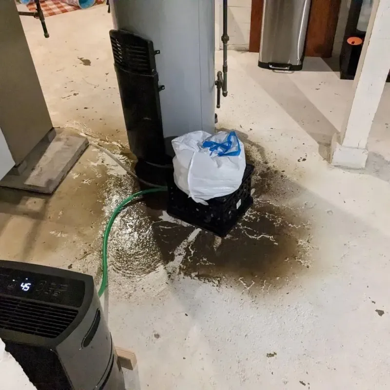 Sewage Backup Cleanup Service in Fife, WA